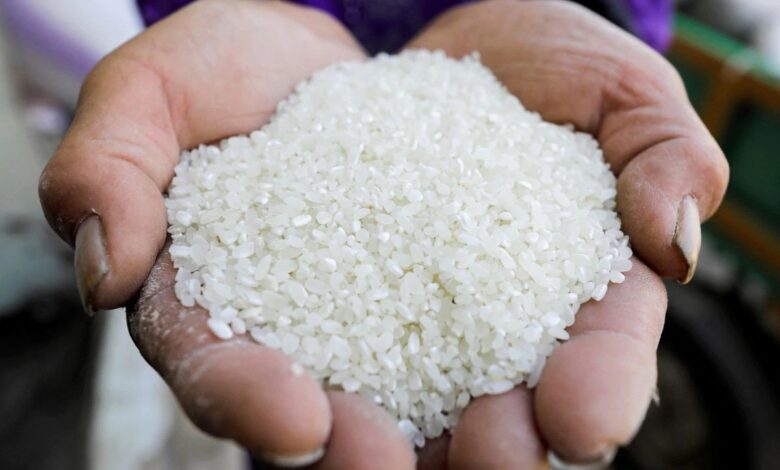 لعدم توريد الأرز.. تحرير ١١ إنذار ضد أصحاب حيازات زراعية بمركز دمنهور