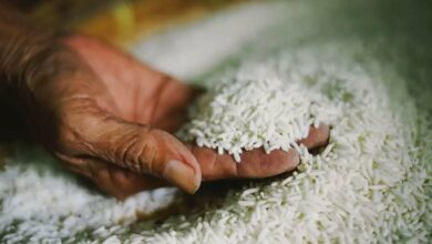 عاجل.. وزير التموين يصدر توجيها جديدا بشأن الأرز
