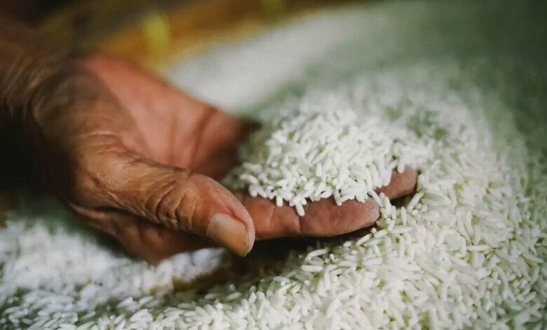 عاجل.. وزير التموين يصدر توجيها جديدا بشأن الأرز