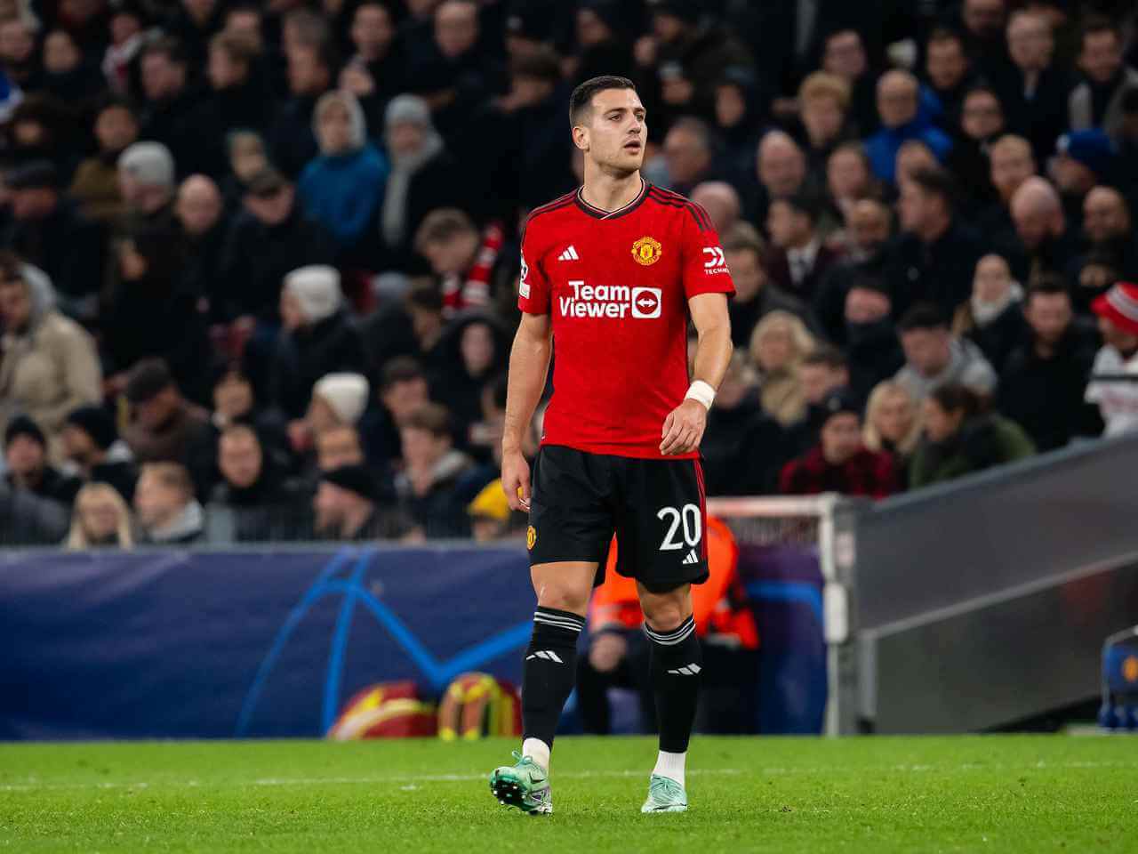 دالوت يخرج من قائمة البرتغال في تصفيات يورو 2024 لأسباب شخصية